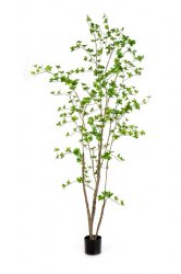 21007N-iskusstvennoe-derevo-enkianthus-210-cm